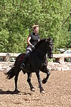 Frau reitet Friese / woman rides friesian horse