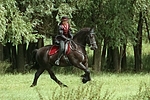 Frau reitet Friese / woman rides friesian horse