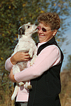 Parson Russell Terrier