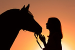 Frau und Deutsches Reitpony im Abendlicht / woman and pony