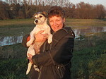 Frau mit Parson Russell Terrier / woman with PRT