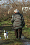 Frau mit Parson Russell Terrier / woman with PRT