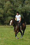 Frau reitet Deutsches Reitpony / woman rides pony