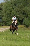 Frau reitet Deutsches Reitpony / woman rides pony