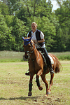 Frau reitet Deutsches Reitpony / woman rides pony