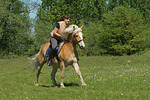 Frau reitet Haflinger / woman rides haflinger horse