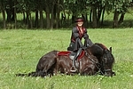 Frau mit Friese / woman and friesian horse