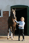 Deutscher Reitpony Hengst / pony stallion