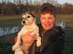 Frau mit Parson Russell Terrier / woman with PRT