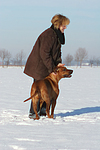 Frau streichelt Rhodesian Ridgeback / woman is fondling Rhodesian Ridgeback