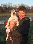 Frau mit Parson Russell Terrier / woman with PRT