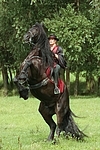 Frau reitet Friese / woman rides friesian horse