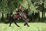 Frau reitet Friese / woman rides friesian horse