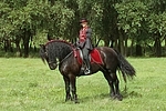 Frau reitet Friese / woman rides friesian horse