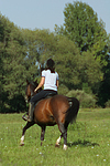 Frau reitet Deutsches Reitpony / woman rides pony