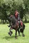 Frau reitet Friese / woman rides friesian horse