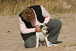 Parson Russell Terrier