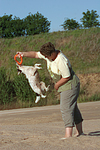 Frau spielt mit Parson Russell Terrier / woman plays with PRT