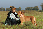 Frau streichelt Rhodesian Ridgeback / woman is fondling Rhodesian Ridgeback