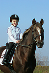 Deutscher Reitpony Hengst / pony stallion