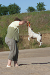 Frau spielt mit Parson Russell Terrier / woman plays with PRT