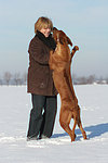 Frau mit Rhodesian Ridgeback / woman with Rhodesian Ridgeback