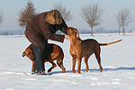 Frau mit Rhodesian Ridgebacks / woman with Rhodesian Ridgebacks