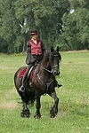 Frau reitet Friese / woman rides friesian horse