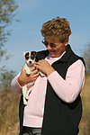 Parson Russell Terrier Welpe / parson russell terrier puppy