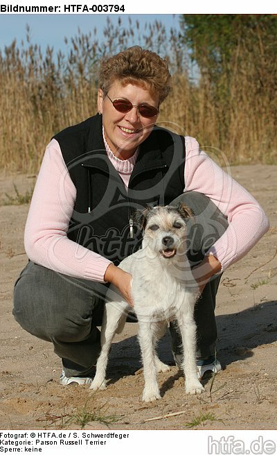 Parson Russell Terrier / HTFA-003794