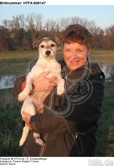 Frau mit Parson Russell Terrier / woman with PRT / HTFA-009147