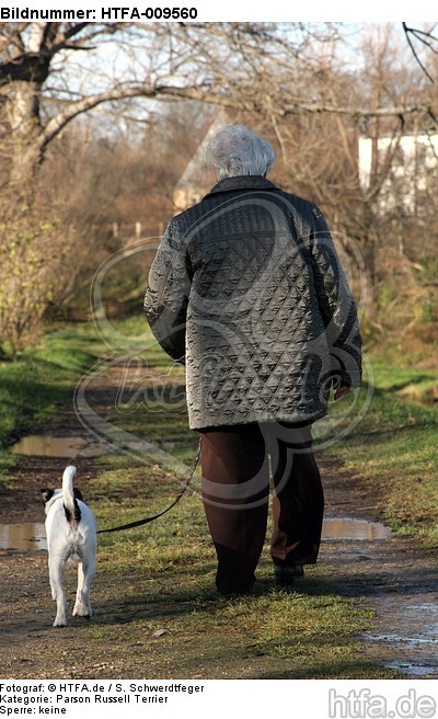 Frau mit Parson Russell Terrier / woman with prt / HTFA-009560