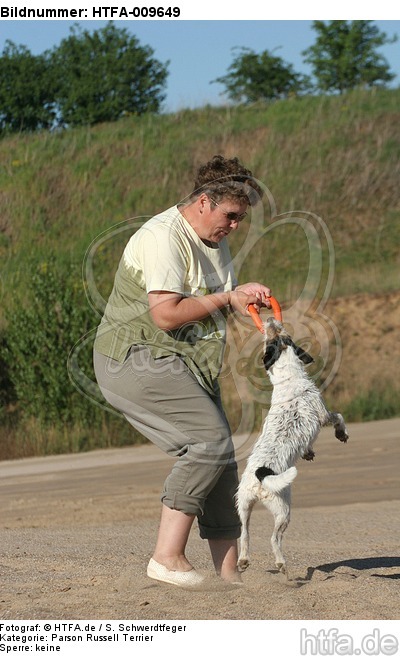 Frau spielt mit Parson Russell Terrier / woman plays with PRT / HTFA-009649
