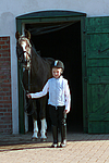 Deutscher Reitpony Hengst / pony stallion