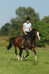 Frau reitet Deutsches Reitpony / woman rides pony