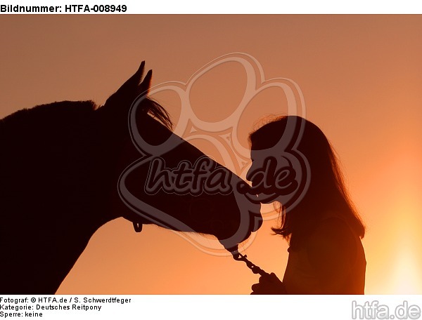 Frau und Deutsches Reitpony im Abendlicht / woman and pony / HTFA-008949