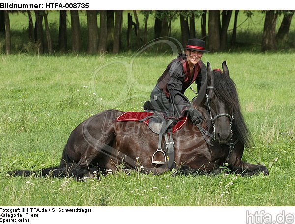 Frau mit Friese / woman and friesian horse / HTFA-008735