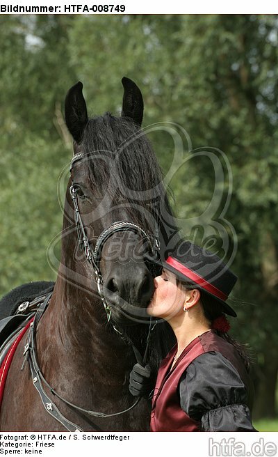 Frau küsst Friese / woman is kissing friesian horse / HTFA-008749