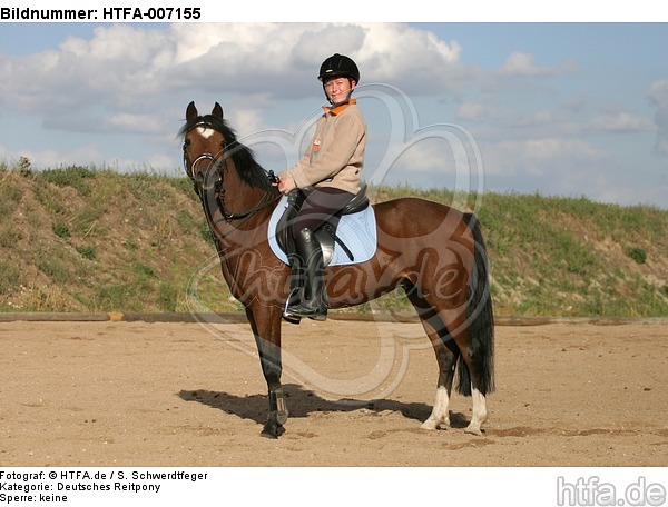 Deutsches Reitpony / pony / HTFA-007155