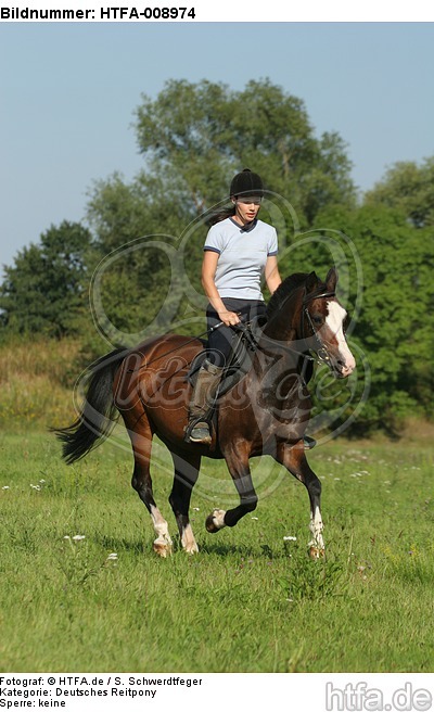Frau reitet Deutsches Reitpony / woman rides pony / HTFA-008974