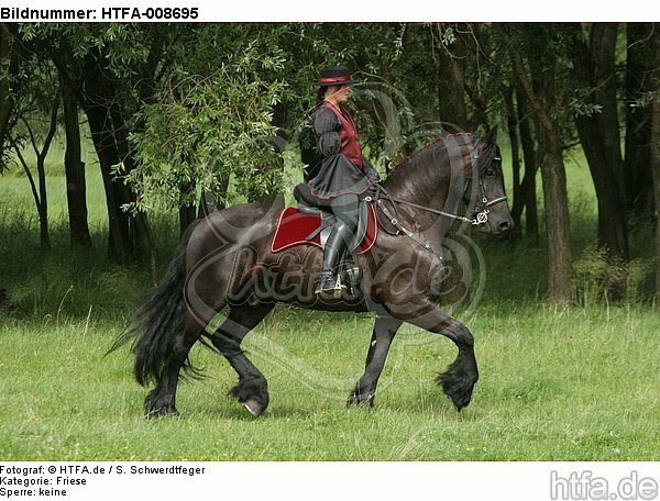 Frau reitet Friese / woman rides friesian horse / HTFA-008695