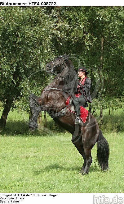 Frau reitet Friese / woman rides friesian horse / HTFA-008722