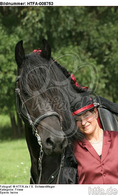Frau mit Friese / woman and friesian horse / HTFA-008753