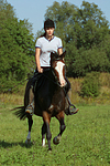 Frau reitet Deutsches Reitpony / woman rides pony