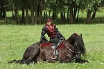 Frau mit Friese / woman and friesian horse