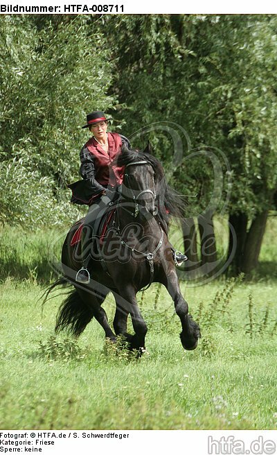 Frau reitet Friese / woman rides friesian horse / HTFA-008711
