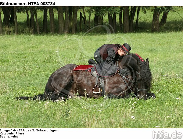 Frau mit Friese / woman and friesian horse / HTFA-008734