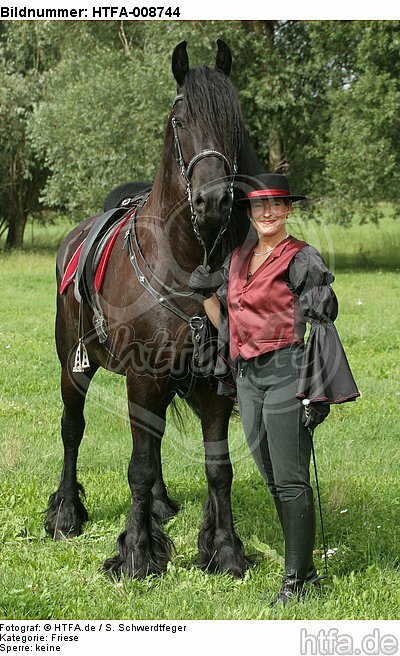 Frau mit Friese / woman and friesian horse / HTFA-008744