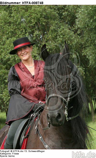 Frau reitet Friese / woman rides friesian horse / HTFA-008748
