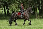 Frau reitet Friese / woman rides friesian horse